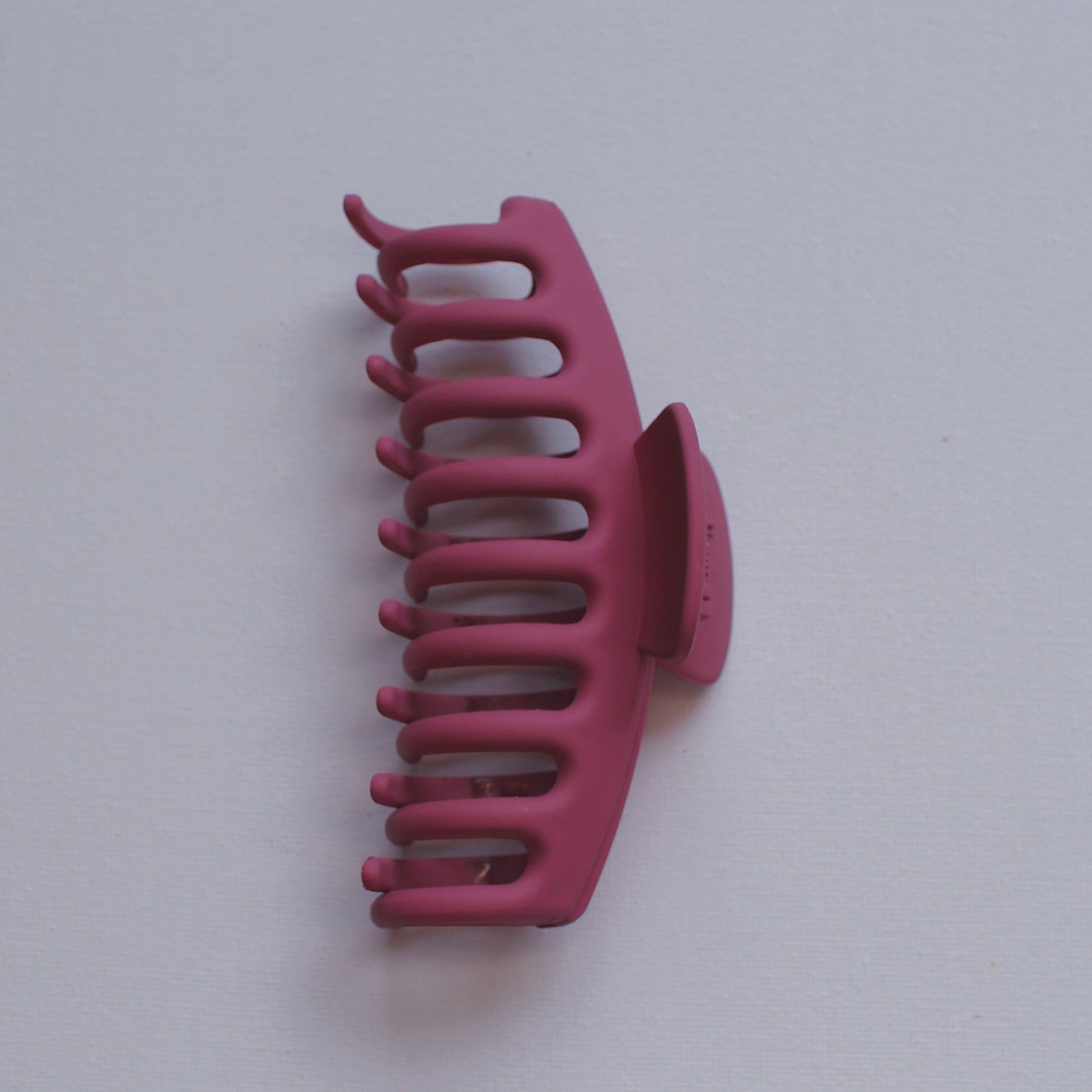 Large Hairclaw Berry